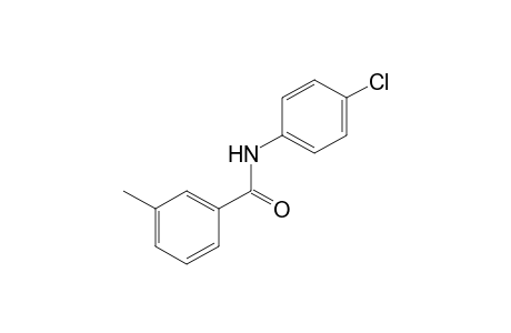 4'-chloro-m-toluaniline
