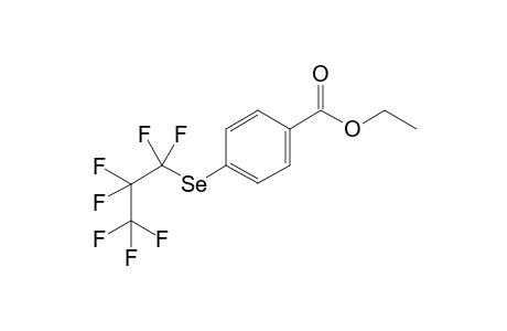 ethyl 4-[(1,1,2,2,3,3,3-heptafluoropropyl)selanyl]benzoate