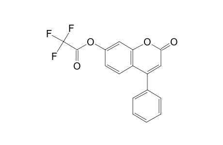 7-Hydroxy-4-phenylcoumarin, trifluoroacetate