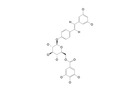 TRANS-3,5,4'-TRIHYDROXY-STILBENE-4'-O-BETA-D-(6-O-GALLOYL)-GLUCOPYRANOSIDE