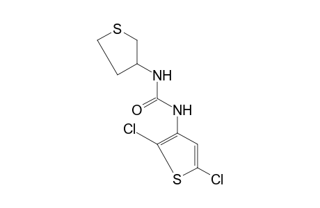 1-(2,5-dichloro-3-thienyl)-3-(tetrahydro-3-thienyl)urea