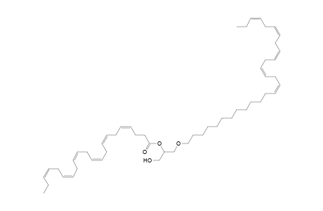 DG O-28:5_22:6