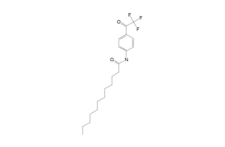 N-(4-TRIFLUOROACETYLPHENYL)-DODECANAMIDE