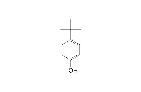 4-Tert-butylphenol