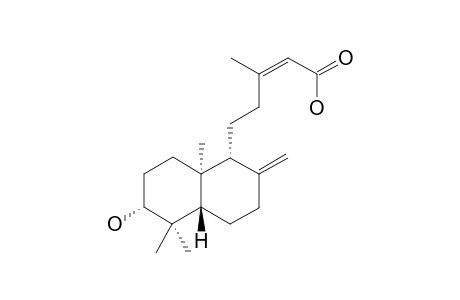 3-HYDROXY-COPALIC-ACID