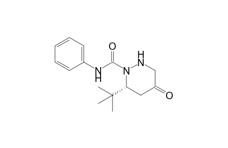 (R)-1-Anilinocarbonyl-6-tert-butylperhydropyridazin-4-one