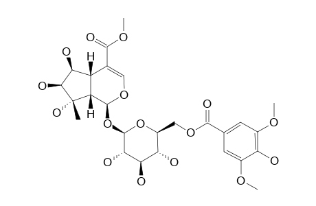 SALVIALOSIDE-D;7,8-EPI-SALVIALOSIDE-C