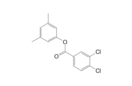 3,5-xylenol, 3,4-dichlorobenzoate
