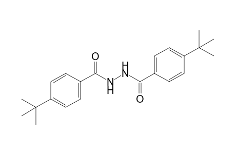 1,2-BIS(p-tert-BUTYLBENZOYL)HYDRAZINE