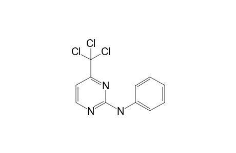 4-(Trichloromethyl)-2-(N-phenylamino)-1,3-pyrimidine