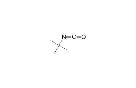 isocyanic acid, tert-butyl ester