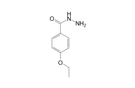 4-Ethoxybenzhydrazide