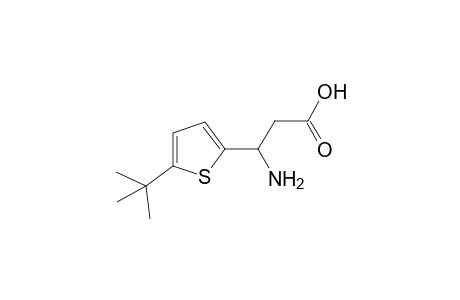 beta-AMINO-5-tert-BUTYL-2-THIOPHENEPROPIONIC ACID