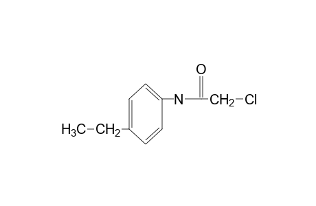 2-chloro-4'-ethylacetanilide
