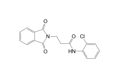3-[1,3-bis(oxidanylidene)isoindol-2-yl]-N-(2-chlorophenyl)propanamide