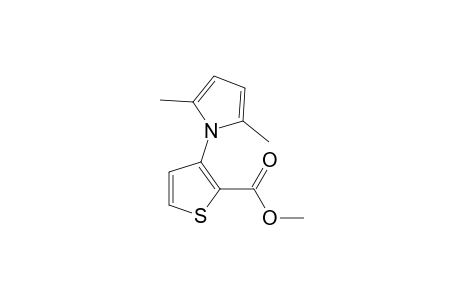 3-(2,5-dimethylpyrrol-1-yl)-2-thiophenecarboxylic acid, methyl etser