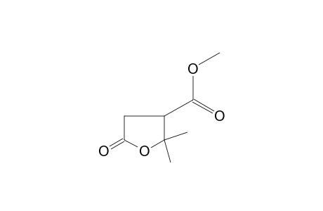 2,2-dimethyl-5-oxotetrahydro-3-furoic acid, methyl ester