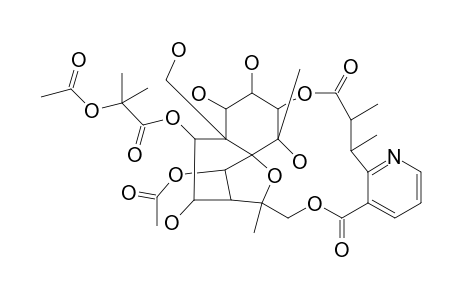 Evonine, O1,O2,O9,O15-tetradeacetyl-8-deoxo-8-hydroxy-, 9-[2-(acetyloxy)-2-methylpropanoate], (8.alpha.)-