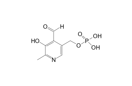 Pyridoxal 5-phosphate