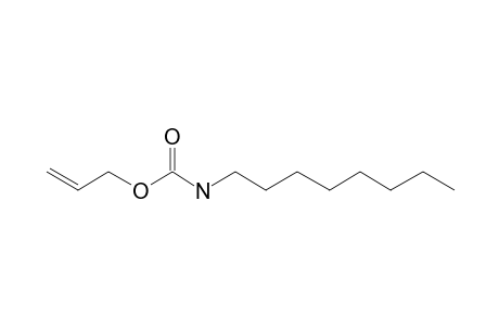 Carbonic acid, monoamide, N-octyl-, allyl ester