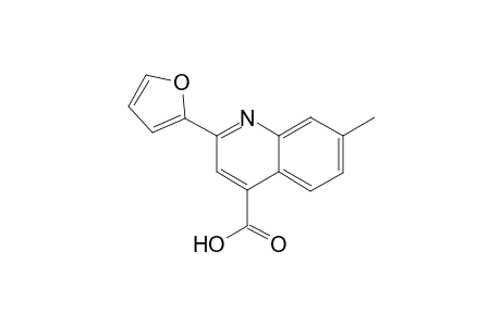 2-(2-Furyl)-7-methyl-4-quinolinecarboxylic acid