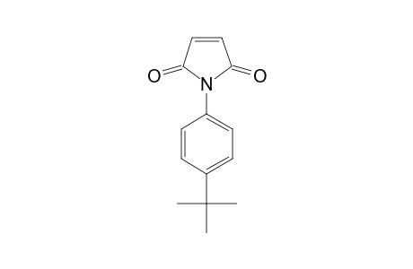 N-(p-tert-butylphenyl)maleimide