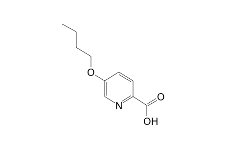 5-butoxypicolinic acid
