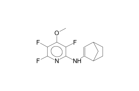 2-(3,5,6-TRIFLUORO-4-METHOXY-2-PYRIDYLAMINO)BICYCLO[2.2.1]HEPT-2-ENE