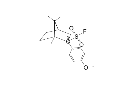 2-(4'-METHOXYPHENYL)-1,7,7-TRIMETHYLBICYCLO-[2.2.1]-HEPT-2-YL-CATION