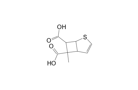 6-METHYL-2-THIABICYCLO-[3.2.0]-HEPT-3-EN-6,7-DICARBONSAEURE