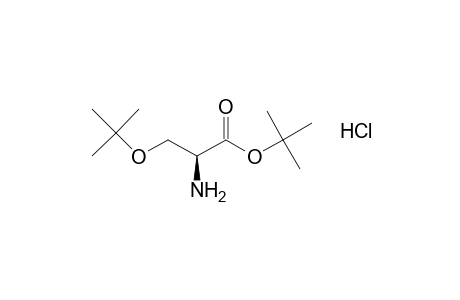 O-tert-Butyl-L-serine tert-butyl ester hydrochloride