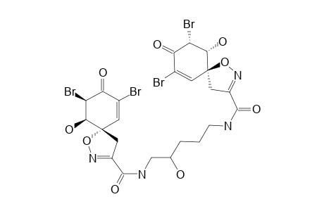 AGELOCAISSARINE-B2