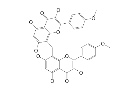 PENTAGRAMETIN;8,8'-METHYLENEBIS-[3,5,7-TRIHYDROXY-2-(4-METHOXYPHENYL)-4H-1-BENZOPYRAN-4-ONE]