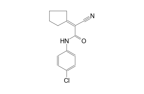 N-(4-chlorophenyl)-2-cyano-2-cyclopentylideneacetamide