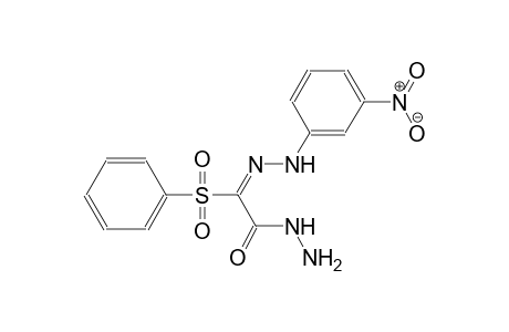 (2E)-2-[(3-nitrophenyl)hydrazono]-2-(phenylsulfonyl)ethanohydrazide