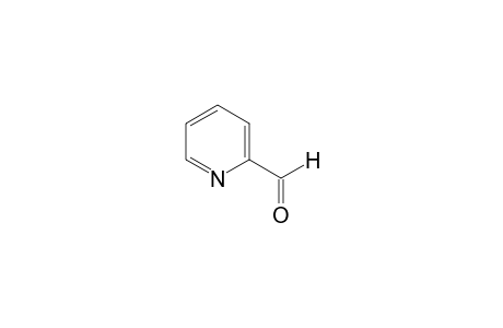 2-Pyridinecarboxaldehyde