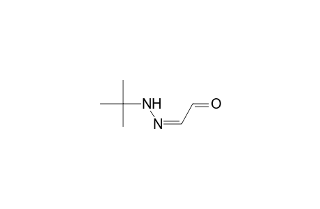 Glyoxal tert-butyl-hydrazone (Z-S-Z-isomer)