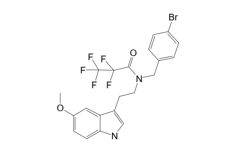 5MT-NB4B PFP