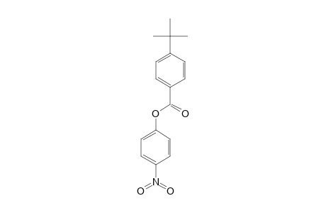 p-tert-butylbenzoic acid, p-nitrophenyl ester