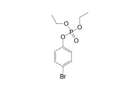 (4-Bromophenyl)-diethyl-phosphate