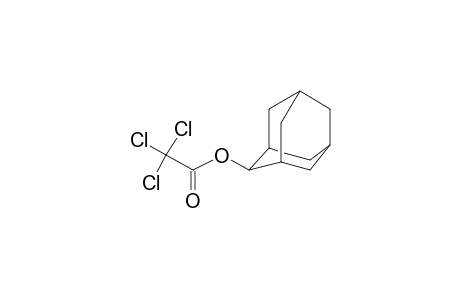 Trichloroacetic acid, 2-adamantyl ester