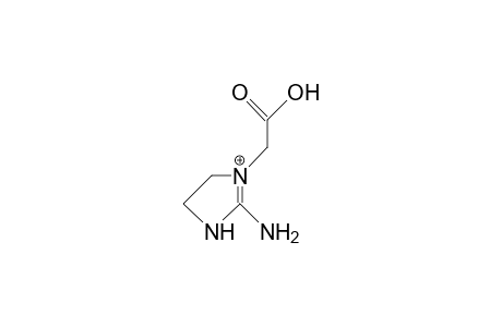 1-Carboxymethyl-2-amino-imidazolidine cation