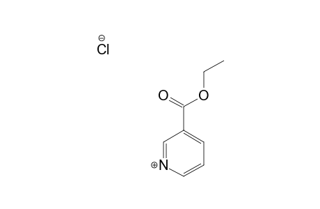 ETHYL-NICOTINATE-HYDROCHLORIDE