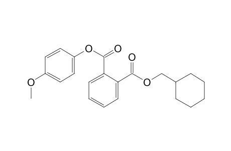 Phthalic acid, cyclohexylmethyl 4-methoxyphenyl ester