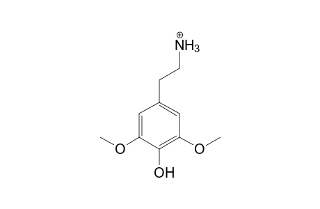 Mescaline-M (O-demethyl-N-acetyl) isomer 2 MS3_1