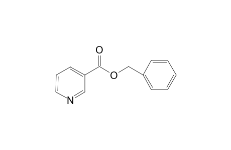 Nicotinic acid benzyl ester