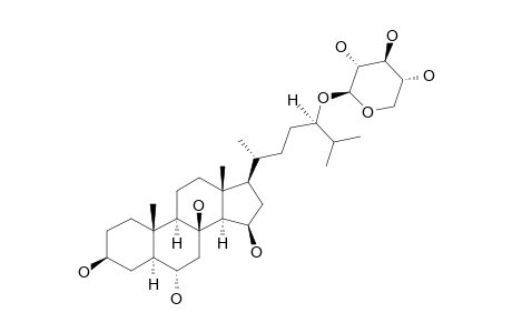 DESULFATED-PYCNOPODIOSIDE-B;(24S)-24-O-(BETA-D-XYLOPYRANOSYL)-5-ALPHA-CHOLESTA-3-BETA,6-ALPHA,8,15-BETA,24-PENTAOL