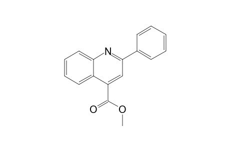 2-phenyl-4-quinolinecarboxylic acid, methyl ester