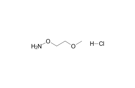 Hydroxylamine, o-(2-methoxyethyl)-, hydrochloride