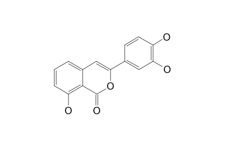 Thunberginol A